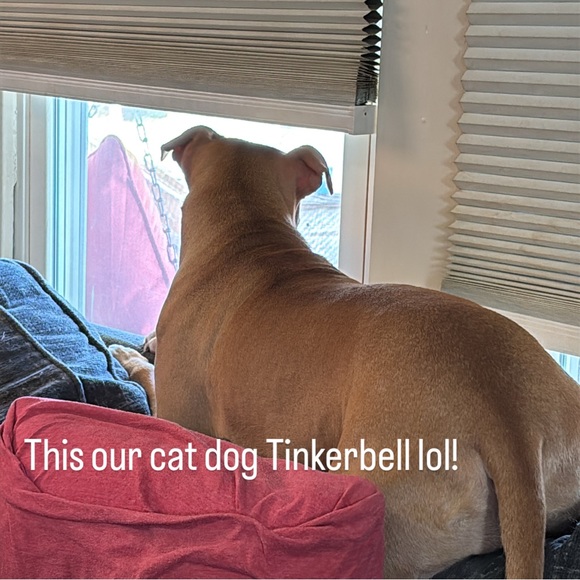 LIVE SHARE SHOW @jtoth1985 - Picture 3 of 9